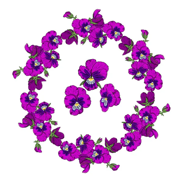 Mão desenhado flores coloridas pansy coroa circular. —  Vetores de Stock