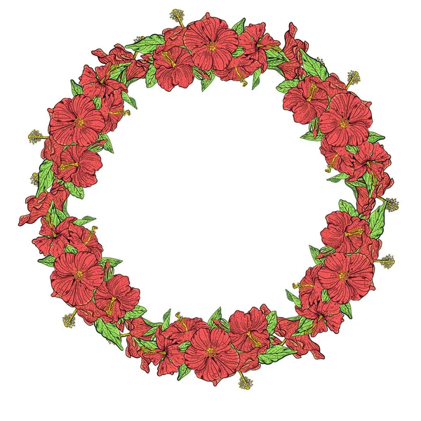 Frame met hibiscus bloemen in vector — Stockvector