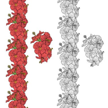 Vektörde amber çiçeğinin sınırı