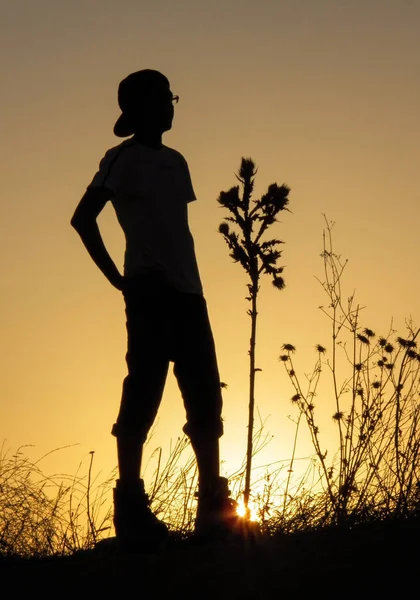 Jovem com as costas para um belo pôr do sol ao lado de uma planta com picos — Fotografia de Stock