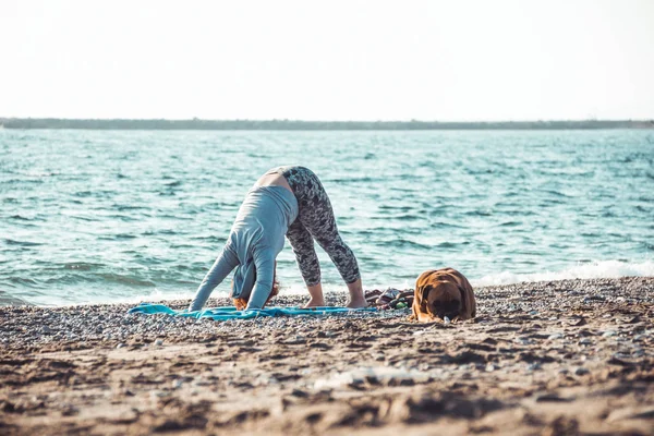 Jovem fazendo ioga e alongamento na praia com seu cão — Fotografia de Stock