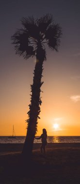 Pregnant woman touching her belly and watching sunset, next to a palm tree, at Almerimar, Almeria, Spain clipart