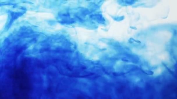Tintenwolken Bewegen Sich Durch Das Wasser Weißer Hintergrund Und Blau — Stockvideo