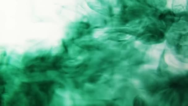 Ink Clouds Moving Water White Background Green — Stock Video