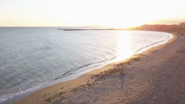 Chica Con Perro Playa Atardecer Vista Aérea Tiro Bucle Almerimar — Vídeos de Stock