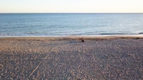 抱きしめて 彼女の犬を日没の浜辺で Caressing 空中ビュー 軌道ショット — ストック動画