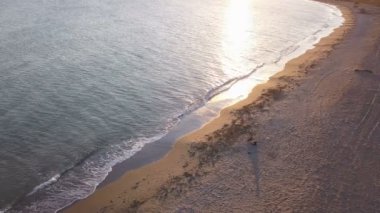 Kız sarılma ve gün batımı sahilde köpeği okşayarak. Havadan görünüm, orbital çekim