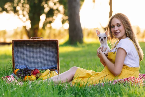 Młoda dziewczyna w ciąży na piknik o zachodzie słońca. Z Chihuahua pies — Zdjęcie stockowe