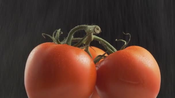 Tres Tomates Orgánicos Frescos Sobre Fondo Negro Rotación Primer Plano — Vídeos de Stock