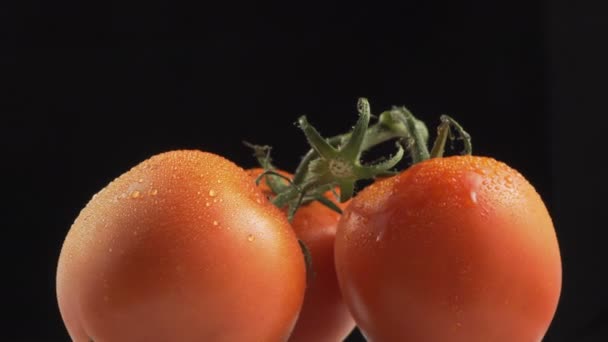 Tre Pomodori Biologici Freschi Sfondo Nero Rotazione Primo Piano — Video Stock