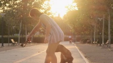 Parkta köpekle oynayan bir kadın. Yavaş bir hareket yap. Boksör köpeği güneşli günbatımının tadını çıkarıyor.