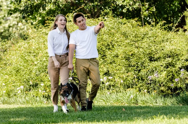 Młoda i nowoczesna para spacerująca i bawiąca się ze swoim psem Border Collie w parku — Zdjęcie stockowe