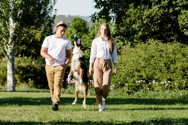 Młoda i nowoczesna para spacerująca i bawiąca się ze swoim psem Border Collie w parku — Zdjęcie stockowe