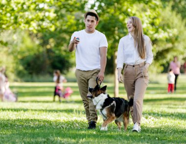 Genç ve modern bir çift parkta köpekleri Border Collie ile yürüyor ve oynuyorlar.