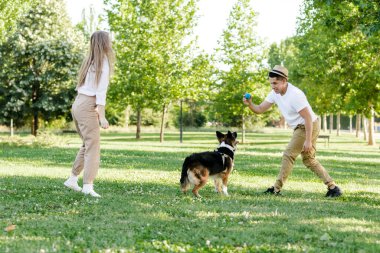Genç ve modern bir çift parkta köpekleri Border Collie ile yürüyor ve oynuyorlar.