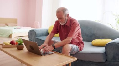 Konforlu oturma odasında rahat bir koltukta otururken dizüstü bilgisayar kullanan son sınıf öğrencisi.