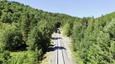Tünelden çıkan yolcu treninin yer aldığı dağ ormanı sahnesi, güneş ışığı manzaralı yolculukta yeşillikleri aydınlatıyor.