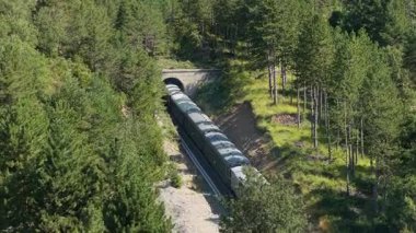 Dağ tünelinden çıkan yeşil yolcu treni çam ağaçlarının arasından süzülen güneş ışığıyla yemyeşil orman manzarasından geçiyor ve çevresindeki vahşi doğaya gölge düşürüyor.