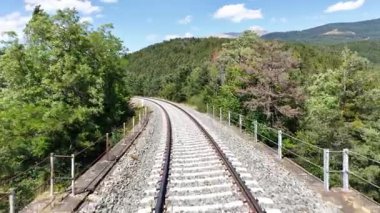 Yemyeşil bir ormanda kıvrılan demiryolu raylarının manzaralı manzarası doğada güzel bir yolculuk sunuyor.