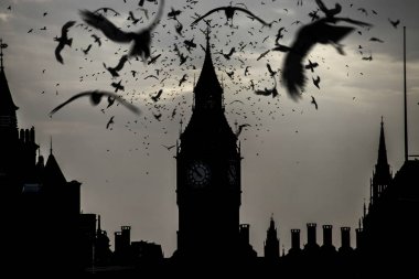 Alacakaranlıkta karanlık kuşlar ile Big Ben siyah siluet 