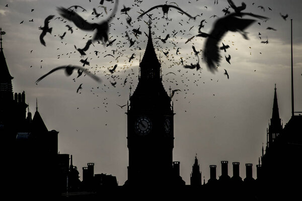 Black silhouette of Big Ben with dark birds in twilight 