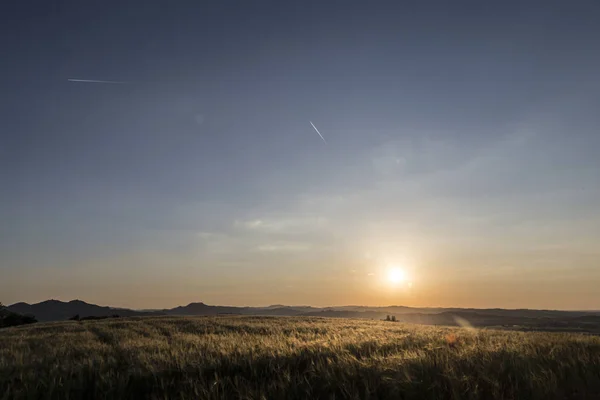 Increíble Puesta Sol Paisaje Césped Verde — Foto de Stock