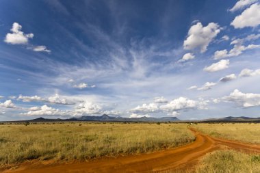 güneşli bir günde yeşil alanda toprak yol