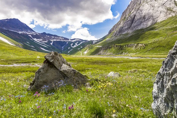Fantastiska Landskapet Alpin Dal Och Grön Gräsmatta — Stockfoto