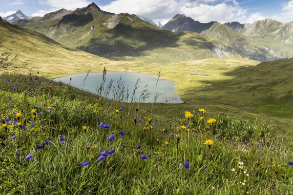 Dağ Vadisinde Pitoresk Göl Kır Çiçekleri Ile Inanılmaz Manzara — Stok fotoğraf
