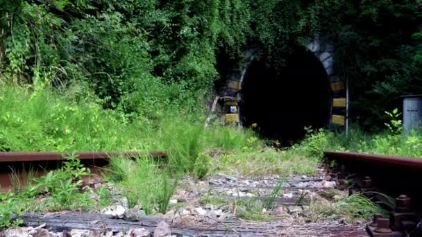 Slide Túnel Ferroviário Paisagem Incrível — Vídeo de Stock