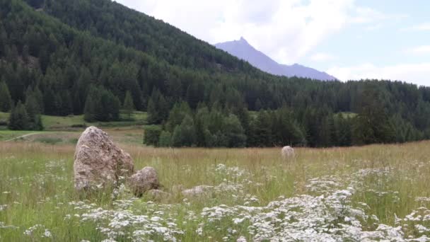 Duas Meninas Correndo Grama Nas Montanhas — Vídeo de Stock