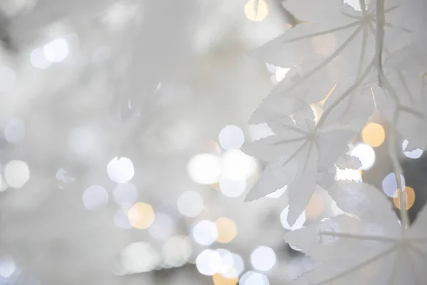 Dekoracyjne Świąteczne Boże Narodzenie Biały Pozostawia Się Niewyraźne Tło Wakacje — Zdjęcie stockowe