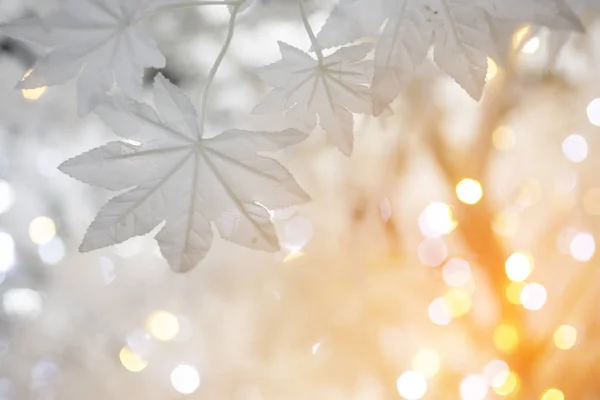 Décoratif Fête Noël Feuilles Blanches Sur Fond Flou Vacances Scintillantes — Photo