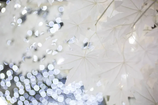 Décoratif Fête Noël Feuilles Blanches Sur Fond Flou Vacances Scintillantes — Photo