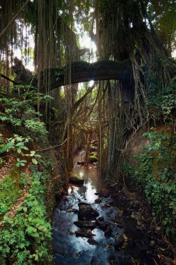 Büyümüş Eski Köprü