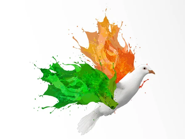 Plakát Slaví Indický Den Nezávislosti — Stockový vektor