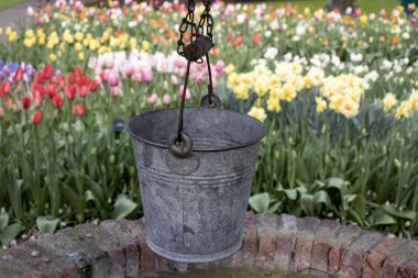 laleile güzel romantik sahne