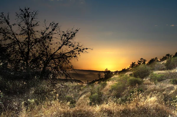 güneş ışığı manzarası