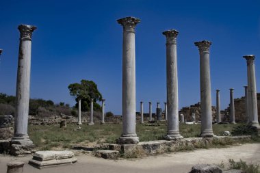 salamis antik kenti kuzey kıbrıs sütunları