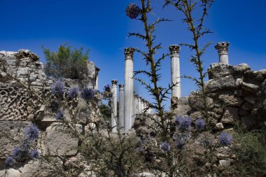 salamis antik kenti kuzey kıbrıs sütunları