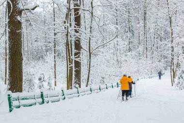 Bir kar yağışı sonra ormandaki yaşlı insanlar Kayak
