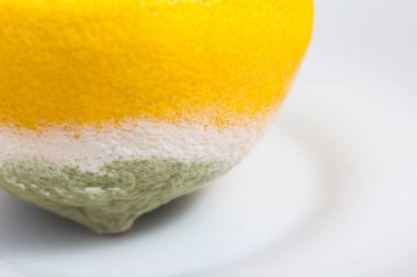 Şımarık limon kalıp closeup ile.