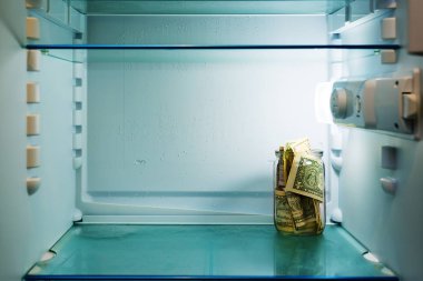 Buzdolabında bir cam kavanoza dolar. Para tasarrufu. Konsept Fotoğraf.