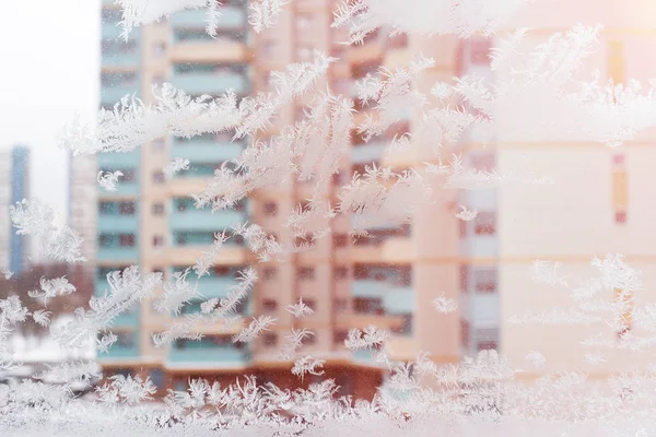 Frostiga Mönster Fönstret — Stockfoto