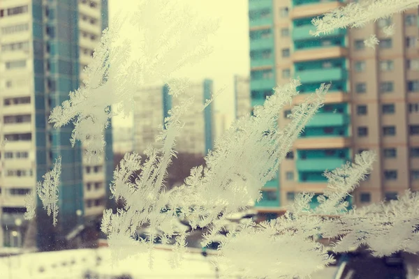 Frostiga Mönster Fönstret — Stockfoto