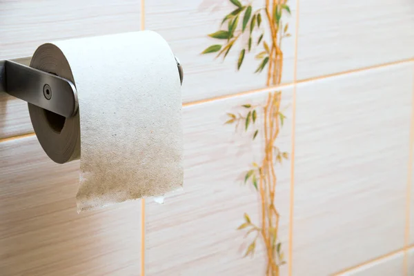 Toilet Paper Wall — Stock Photo, Image