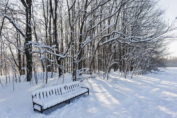 Schöne Winterlandschaft Einem Sonnigen Frostigen Tag — Stockfoto