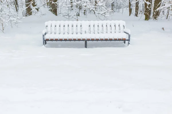 Winterwald Nach Starkem Schneefall — Stockfoto