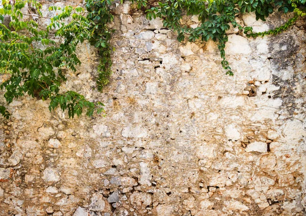 Mur Dans Village Krits Grèce — Photo