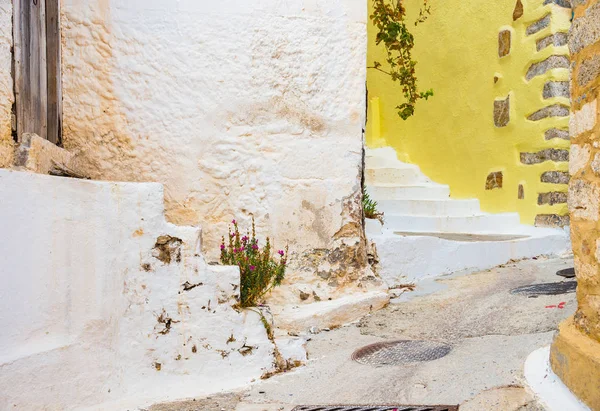 希腊克里特岛上真正的老村庄克里萨 — 图库照片